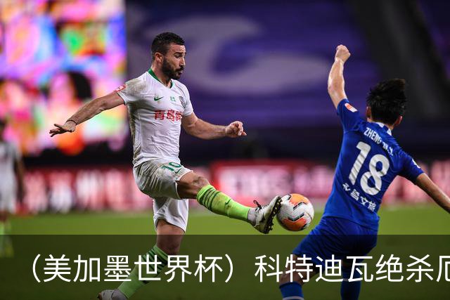 （美加墨世界杯）科特迪瓦绝杀厄瓜多尔 瑞典5:1大胜突尼斯