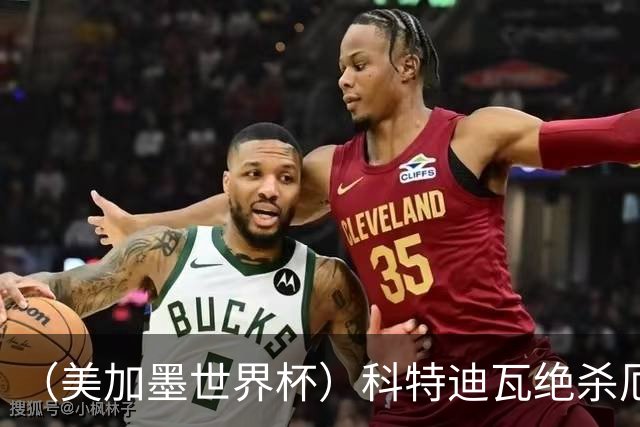 （美加墨世界杯）科特迪瓦绝杀厄瓜多尔 瑞典5:1大胜突尼斯